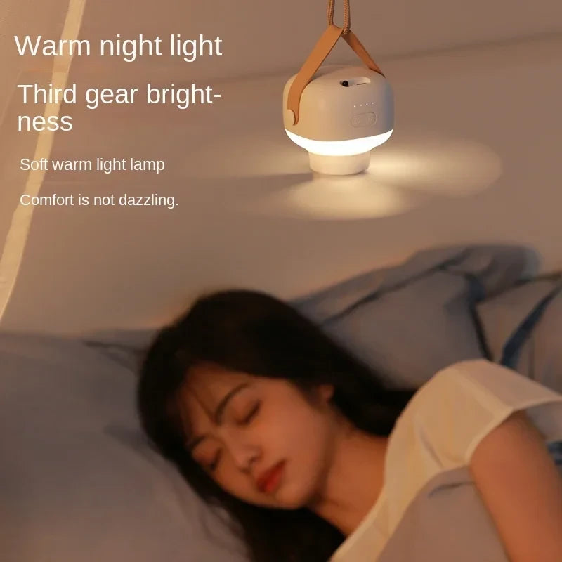 Portable Wireless Ceiling Fan Light